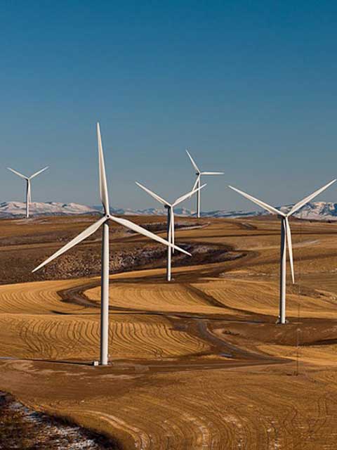 不用付费激活的攻击网站服务器